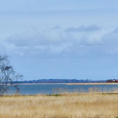 Family Premium 梅尔诺