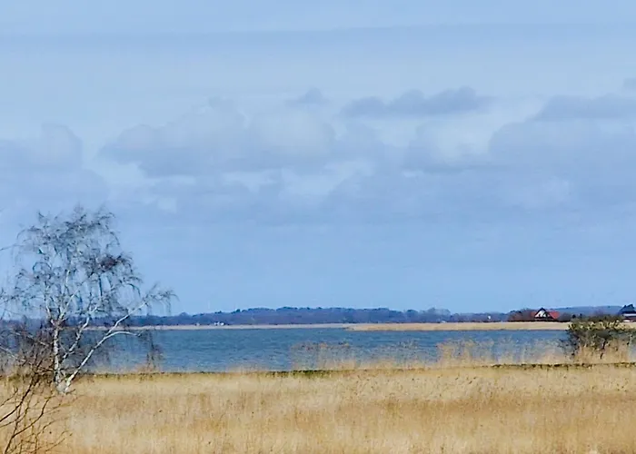 Family Premium 미엘노